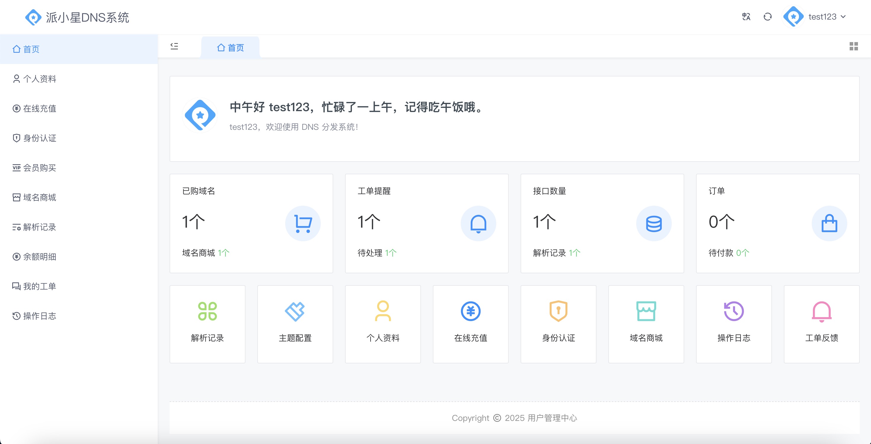 浣熊DNS系统